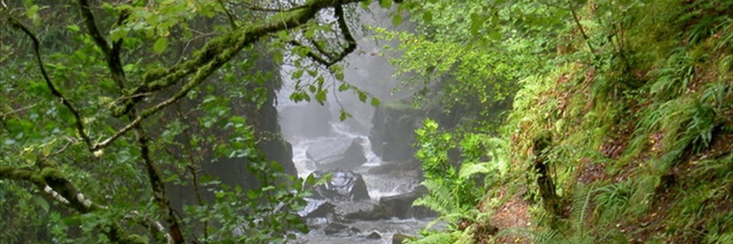 The grey mares tail
