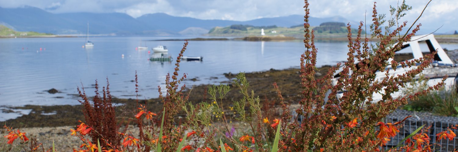 Appin beach view